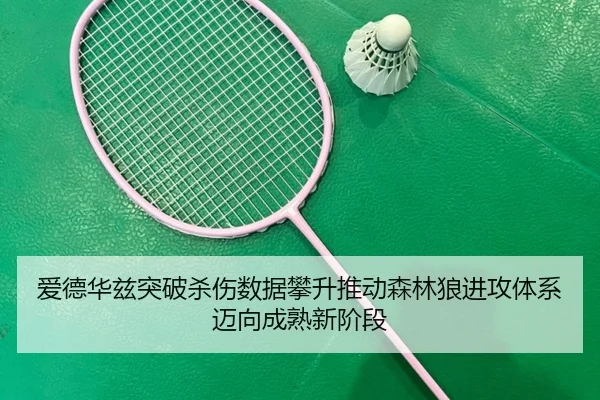 爱德华兹突破杀伤数据攀升推动森林狼进攻体系迈向成熟新阶段